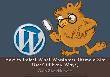 how to detect wordpress theme