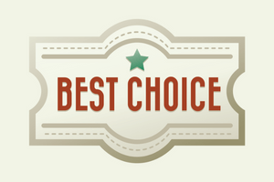 best wordpress help choice badge