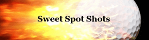 sweet spot shots logo