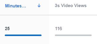 facebook video statistics example