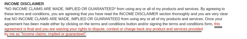 income disclaimer copy and paste ads