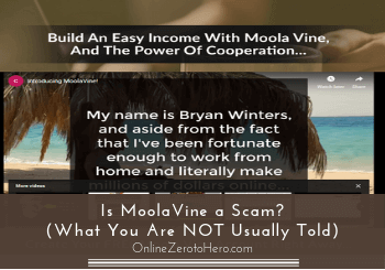 Is MoolaVine a Scam? (What You Are NOT Usually Told)