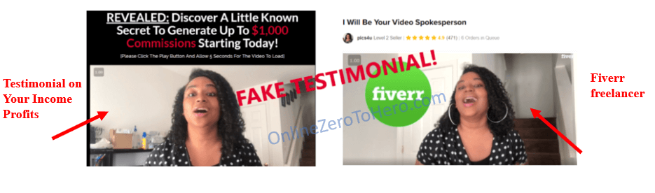fake testimonials your income profits
