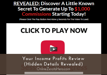 your income profits review header